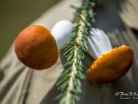 tragacove zavody 2018 (20)